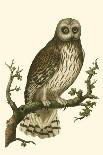 Nozeman Owls IV-Nozeman-Art Print