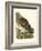 Nozeman Owls I-Nozeman-Framed Art Print