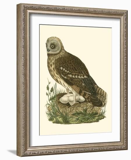 Nozeman Owls I-Nozeman-Framed Art Print