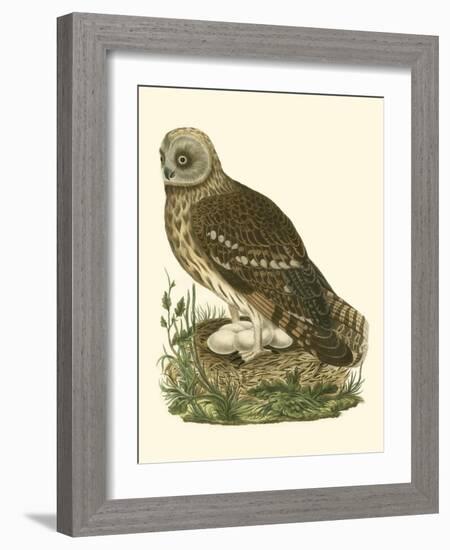 Nozeman Owls I-Nozeman-Framed Art Print