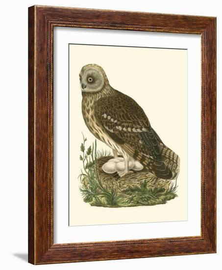 Nozeman Owls I-Nozeman-Framed Art Print