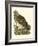 Nozeman Owls I-Nozeman-Framed Art Print