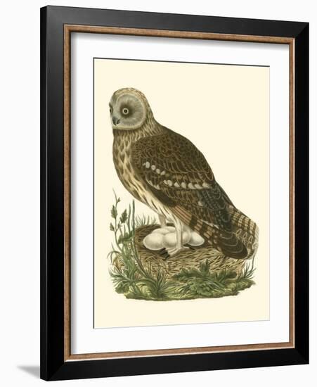 Nozeman Owls I-Nozeman-Framed Art Print