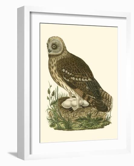 Nozeman Owls I-Nozeman-Framed Art Print