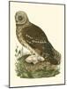 Nozeman Owls I-Nozeman-Mounted Art Print