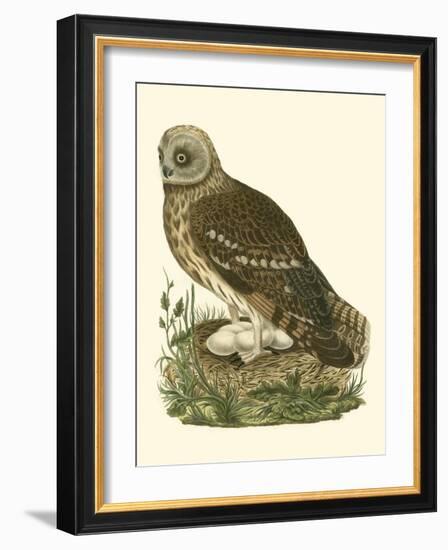 Nozeman Owls I-Nozeman-Framed Art Print