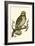 Nozeman Owls II-Nozeman-Framed Art Print