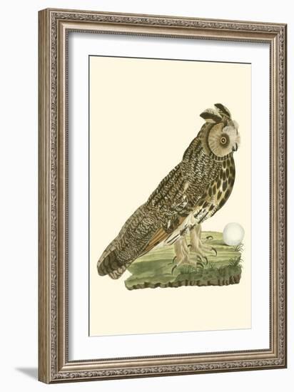 Nozeman Owls III-Nozeman-Framed Art Print