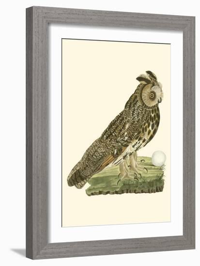 Nozeman Owls III-Nozeman-Framed Art Print