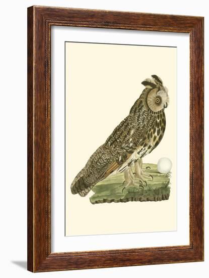 Nozeman Owls III-Nozeman-Framed Art Print
