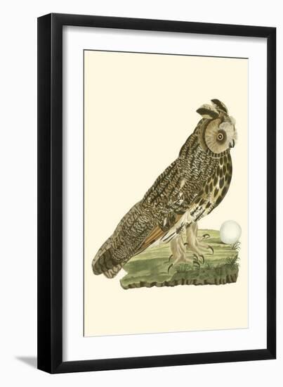 Nozeman Owls III-Nozeman-Framed Art Print