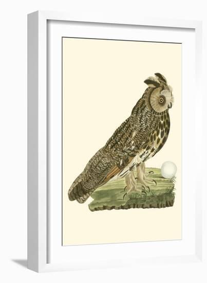 Nozeman Owls III-Nozeman-Framed Art Print