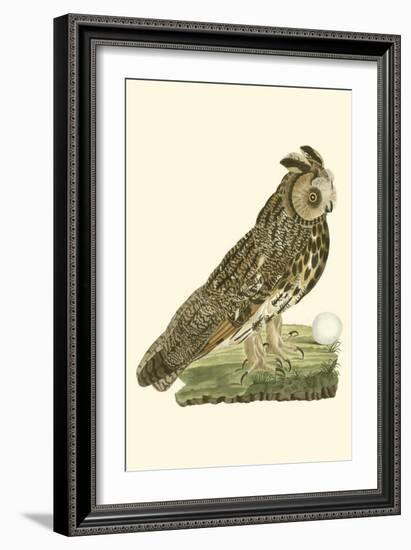 Nozeman Owls III-Nozeman-Framed Art Print