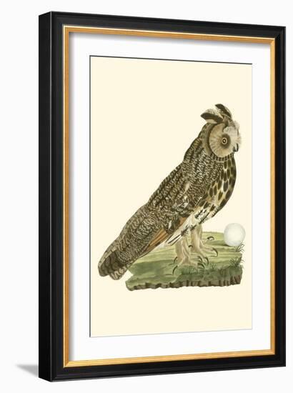 Nozeman Owls III-Nozeman-Framed Art Print