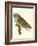 Nozeman Owls IV-Nozeman-Framed Art Print