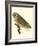 Nozeman Owls IV-Nozeman-Framed Art Print