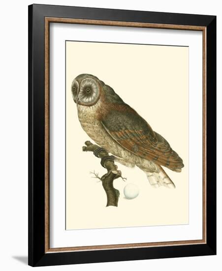 Nozeman Owls IV-Nozeman-Framed Art Print