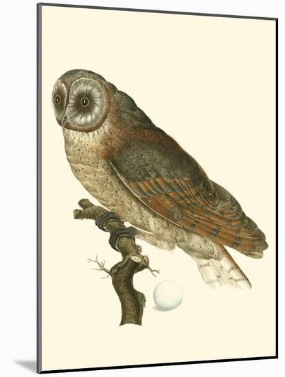 Nozeman Owls IV-Nozeman-Mounted Art Print