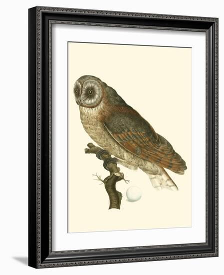 Nozeman Owls IV-Nozeman-Framed Art Print