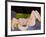 Nu Allonge-Henri Matisse-Framed Art Print