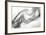 Nu Couche de Dos, c.1944-Henri Matisse-Framed Serigraph