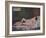 'Nu couché', mid 19th century, (1937)-Gustave Courbet-Framed Giclee Print