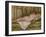 Nu couché, vu de dos ou Le repos après le bain-Pierre-Auguste Renoir-Framed Giclee Print