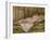 Nu couché, vu de dos ou Le repos après le bain-Pierre-Auguste Renoir-Framed Giclee Print