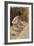 Nu, étude inachevée-Pierre-Auguste Renoir-Framed Giclee Print