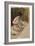 Nu, étude inachevée-Pierre-Auguste Renoir-Framed Giclee Print