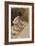 Nu, étude inachevée-Pierre-Auguste Renoir-Framed Giclee Print