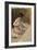 Nu, étude inachevée-Pierre-Auguste Renoir-Framed Giclee Print