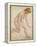 Nu-Maurice Denis-Framed Premier Image Canvas