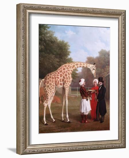 Nubian Giraffe, 1827-Jacques-Laurent Agasse-Framed Art Print