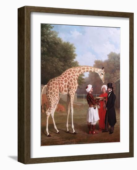 Nubian Giraffe, 1827-Jacques-Laurent Agasse-Framed Art Print