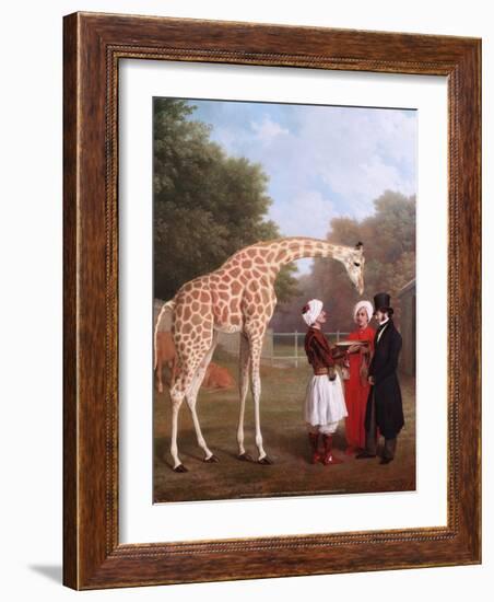 Nubian Giraffe, 1827-Jacques-Laurent Agasse-Framed Art Print