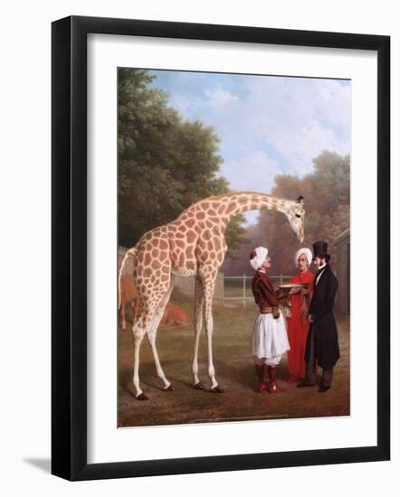 Nubian Giraffe, 1827-Jacques-Laurent Agasse-Framed Art Print