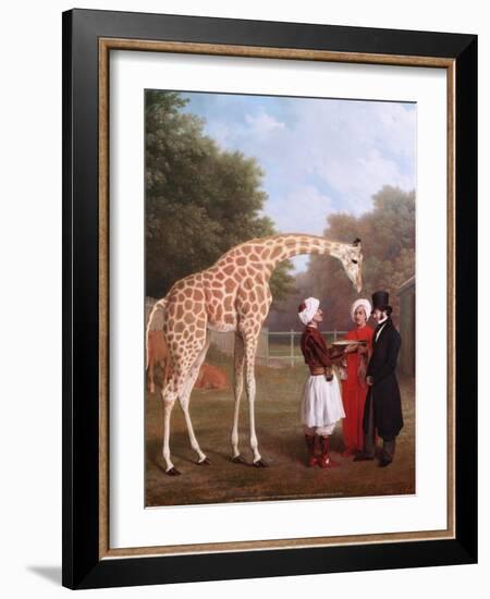 Nubian Giraffe, 1827-Jacques-Laurent Agasse-Framed Art Print