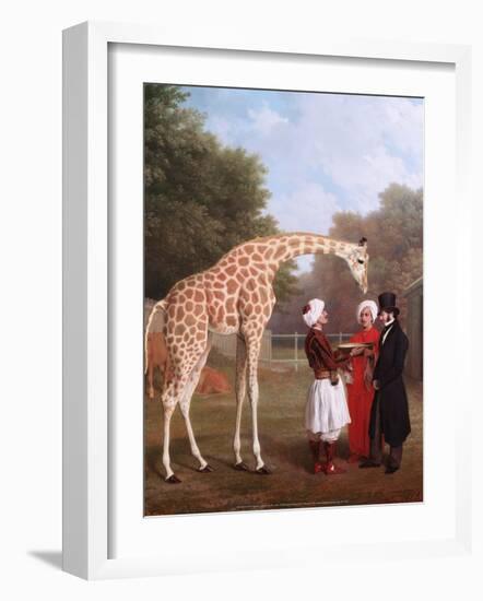 Nubian Giraffe, 1827-Jacques-Laurent Agasse-Framed Art Print