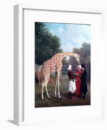 Nubian Giraffe-Jacques-Laurent Agasse-Framed Giclee Print