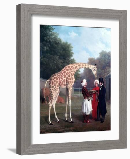 Nubian Giraffe-Jacques-Laurent Agasse-Framed Giclee Print