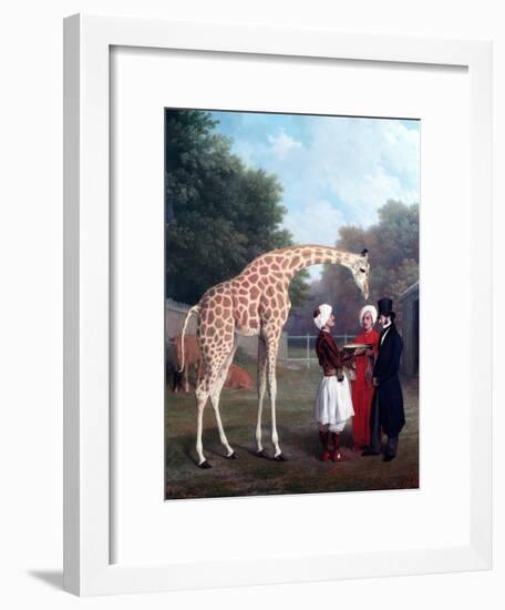 Nubian Giraffe-Jacques-Laurent Agasse-Framed Giclee Print