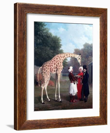 Nubian Giraffe-Jacques-Laurent Agasse-Framed Giclee Print