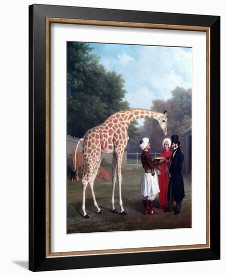 Nubian Giraffe-Jacques-Laurent Agasse-Framed Giclee Print