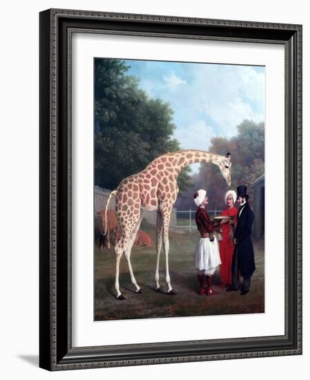 Nubian Giraffe-Jacques-Laurent Agasse-Framed Giclee Print