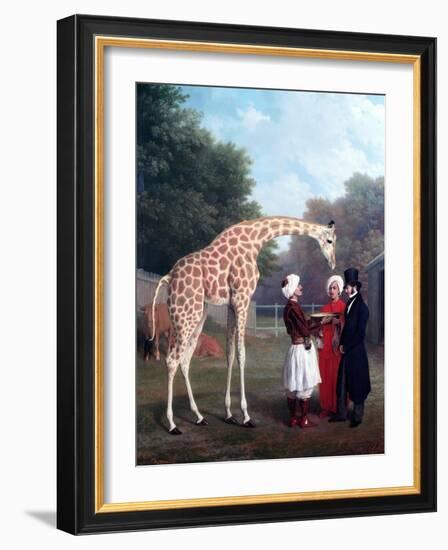 Nubian Giraffe-Jacques-Laurent Agasse-Framed Giclee Print
