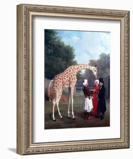 Nubian Giraffe-Jacques-Laurent Agasse-Framed Giclee Print