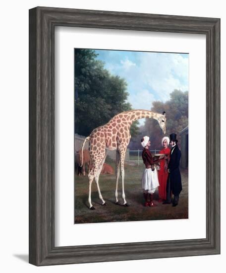 Nubian Giraffe-Jacques-Laurent Agasse-Framed Giclee Print