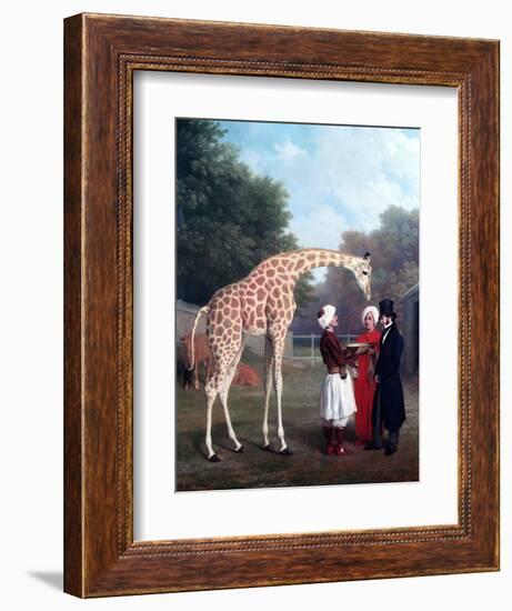 Nubian Giraffe-Jacques-Laurent Agasse-Framed Giclee Print