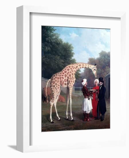 Nubian Giraffe-Jacques-Laurent Agasse-Framed Giclee Print